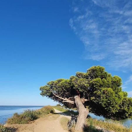 T2 Cosy A La Plage, Terrasse Vue Sur Mer Et Parking Privatif Narbonne Luaran gambar