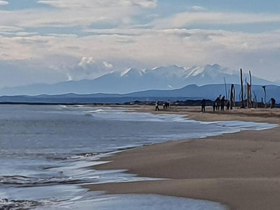 T2 Cosy A La Plage, Terrasse Vue Sur Mer Et Parking Privatif Narbonne Luaran gambar
