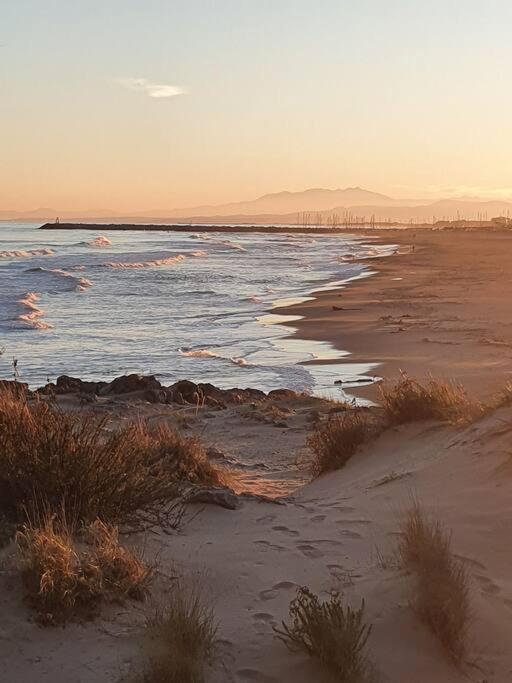 T2 Cosy A La Plage, Terrasse Vue Sur Mer Et Parking Privatif Narbonne Luaran gambar