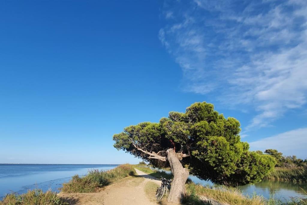 T2 Cosy A La Plage, Terrasse Vue Sur Mer Et Parking Privatif Narbonne Luaran gambar